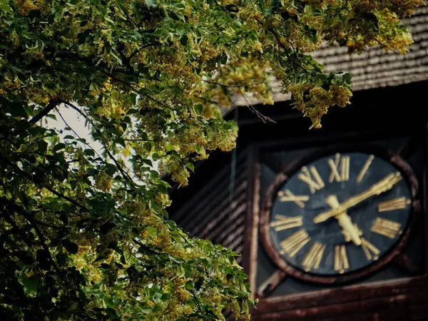 Часы Сидят Перед Зданием — стоковое фото