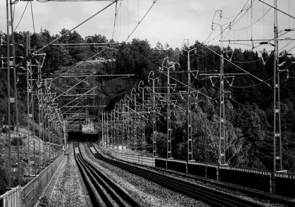 Bahngleise Führen Einen Tunnel — Stockfoto