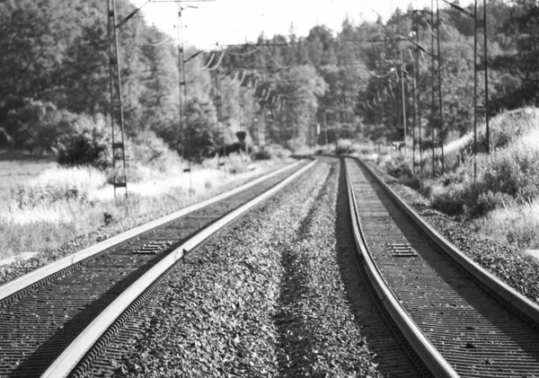 Trilhos Ferroviários Perto Uma Floresta Durante Dia — Fotografia de Stock