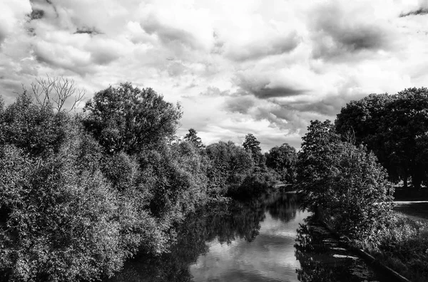 曇りの空に対する森の中の川 — ストック写真