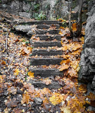Sonbahar yapraklarının yüksek açılı merdiven manzarası 