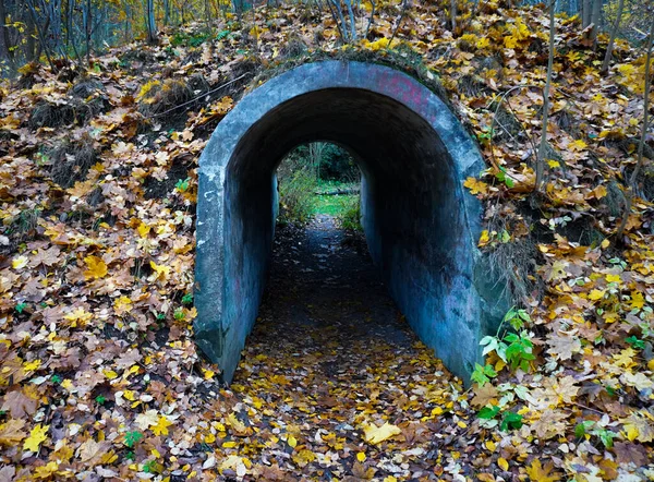 秋叶覆盖小山 隧道小 — 图库照片