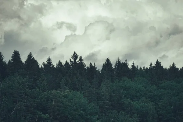 Nubes Sobre Bosque Durante Verano —  Fotos de Stock