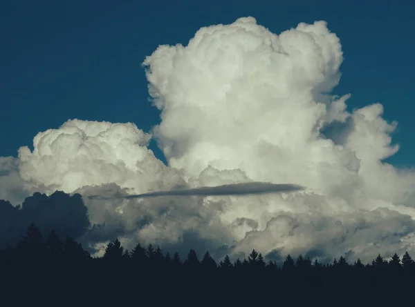 Nubes Sobre Bosque Durante Verano — Foto de Stock