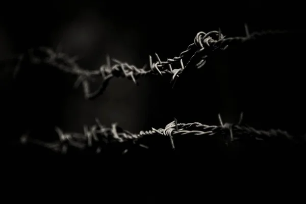 黒と白の有刺鉄線の閉鎖 — ストック写真