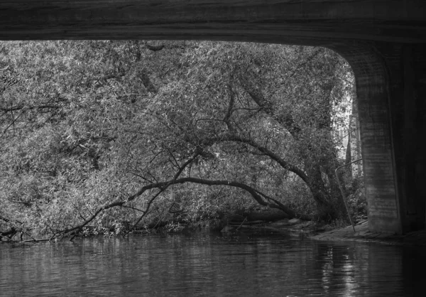一座黑白相间的横跨河流的桥 — 图库照片