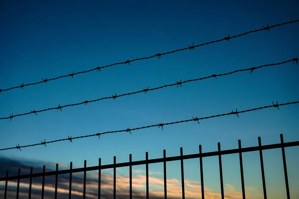 澄んだ空に対する有刺鉄線の低角度ビュー — ストック写真