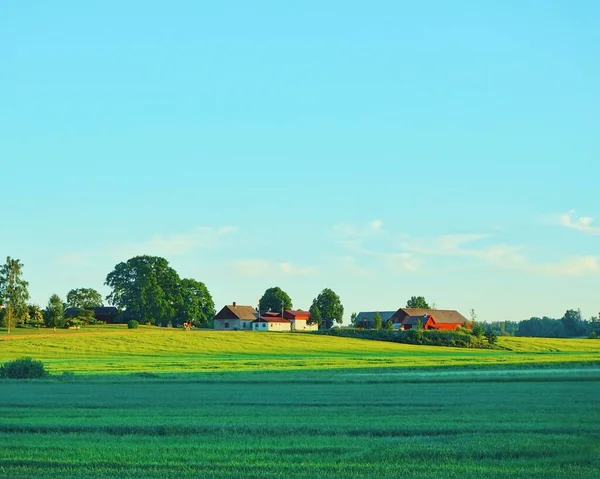 stock image Scenic view of the a field against blue sky 