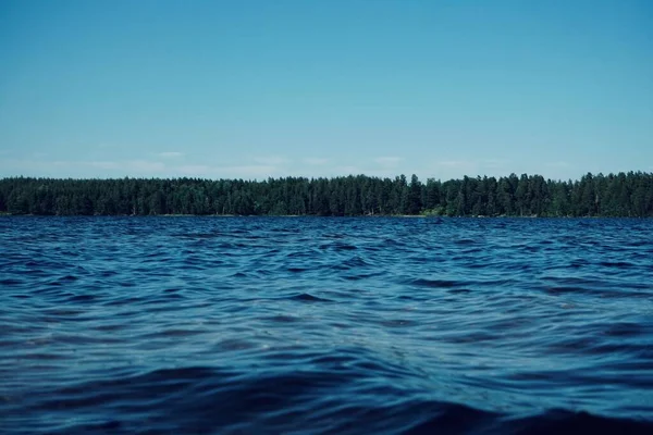 여름에 호수의 — 스톡 사진