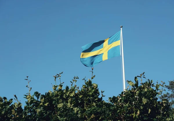 Stock image A swedish flag over trees against sky 