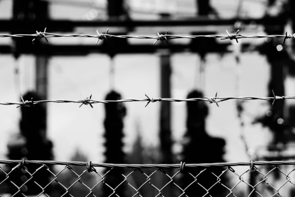 黑白相间的铁丝网篱笆的近景 — 图库照片