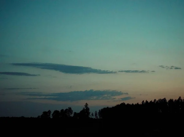 Malerischer Blick Über Einen Wald Bei Sonnenuntergang — Stockfoto