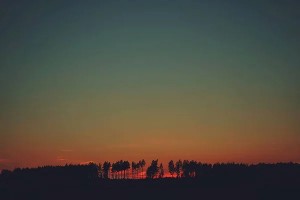 Una Puesta Sol Sobre Bosque Durante Verano — Foto de Stock