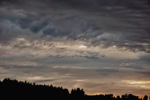 Szenischer Blick Auf Den Sonnenuntergang Über Einem Wald — Stockfoto