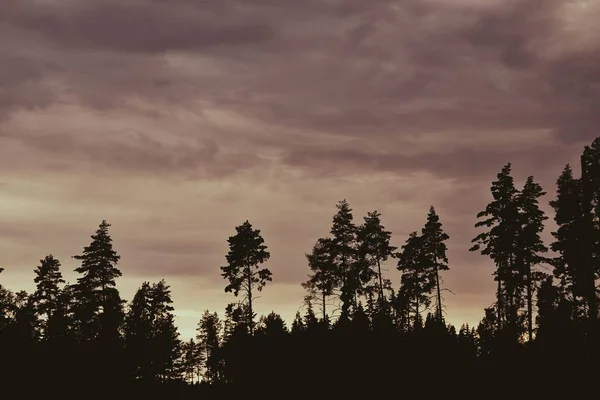 Γραφική Θέα Ενός Ηλιοβασιλέματος Πάνω Από Ένα Δάσος — Φωτογραφία Αρχείου