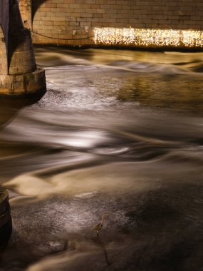 Heron gece boyunca köprüde duruyor. 