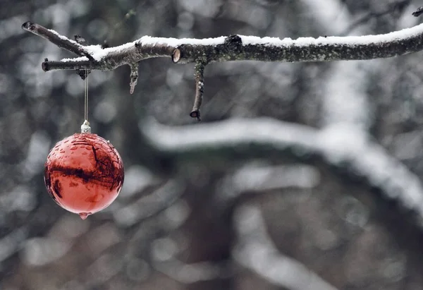Close Dari Dekorasi Natal Tergantung Cabang Selama Musim Dingin — Stok Foto