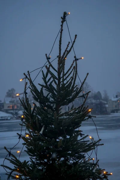 Close Van Kerstboom Tegen Hemel Winter — Stockfoto