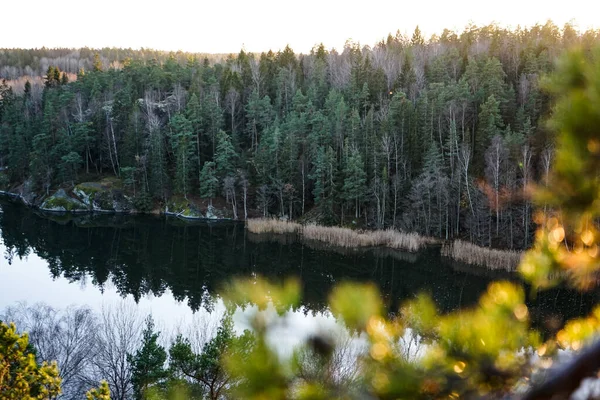Malowniczy Widok Jezioro Lesie Przed Niebem — Zdjęcie stockowe
