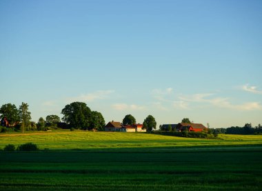 Mavi gökyüzüne karşı alanın manzarası