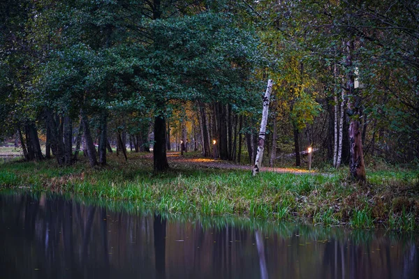 Trees Lake Forest Autumn — Stock Photo, Image