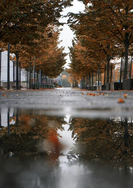 stock image Close up of a puddle on walkway during autumn 