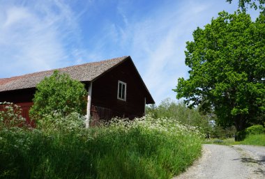 Gökyüzüne karşı eski ahır alçak açılı görünüyor. 