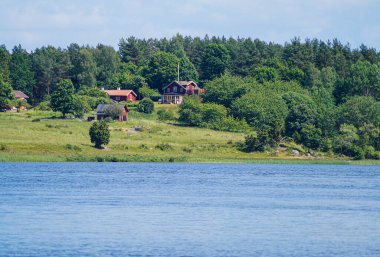 Yaz boyunca göl manzarası 