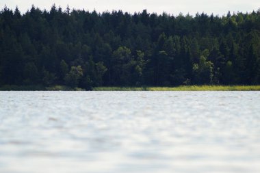 Gökyüzüne karşı ormandaki gölün manzarası