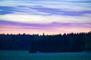 Gün batımında gökyüzüne bakan siluet ağaçlarının manzarası
