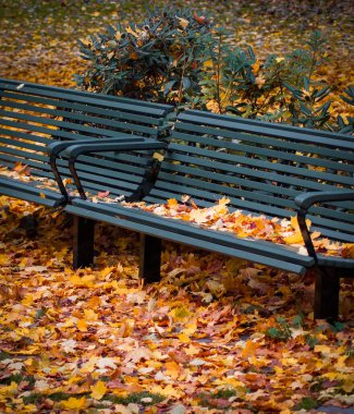 Sonbaharda parktaki yüksek açılı bank görüntüsü