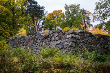 Ormanda eski bir taş duvar 