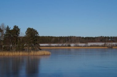 Açık mavi gökyüzüne karşı gölün manzarası