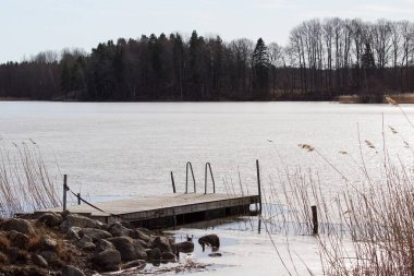 İlkbaharda göl manzarası 