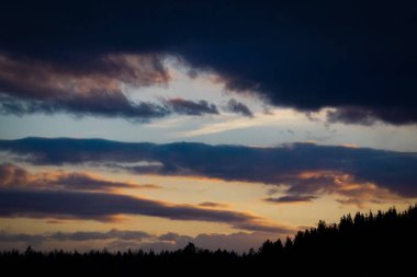 Gün batımında siluet ağaçlarının alçak açılı görüntüsü