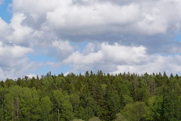 Panoramic view of trees on landscape against sky