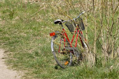 Bicycle parked next to brushes during spring 