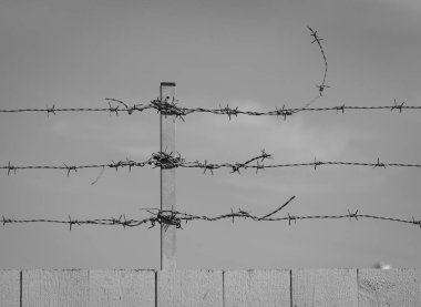 Temiz gökyüzüne karşı dikenli tellerin düşük açılı görüntüsü