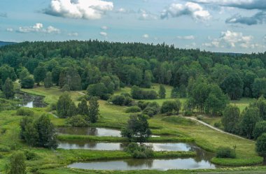 Scenic view of field and forest against sky
