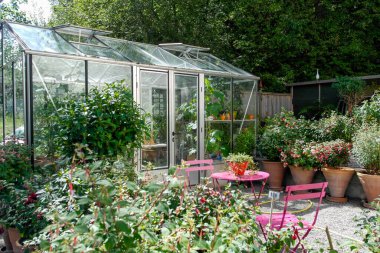 a close up of a flower garden with a greenhouse 
