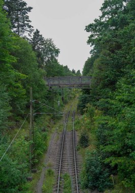 High angle view of railroad tracks amidst trees against clear sky