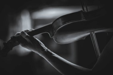 Low section of a woman playing violin