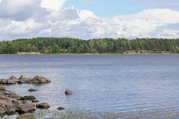 Yaz boyunca göl manzarası 
