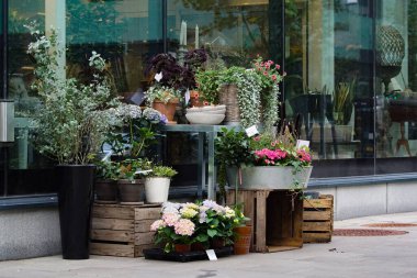 View of plants on footpath outside flower shop in city 