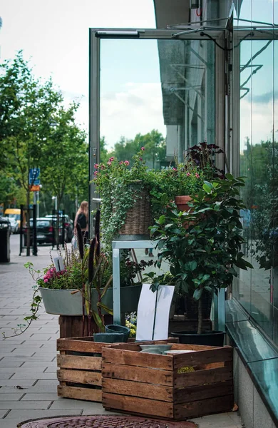 View of plants on footpath outside flower shop in city 