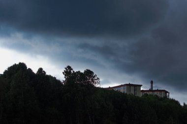 Gökyüzüne karşı ağaçların ve binaların alçak açılı görüntüsü