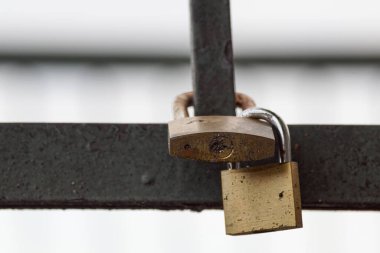 Close up of padlocks on metal fence 