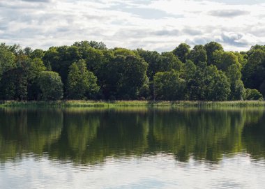 Göl manzaralı ağaçlar gökyüzüne karşı