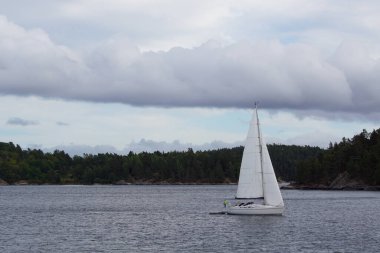 Gündüz denizde bir yelkenli. 