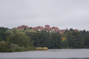 Trees and buildings against a cloudy sky